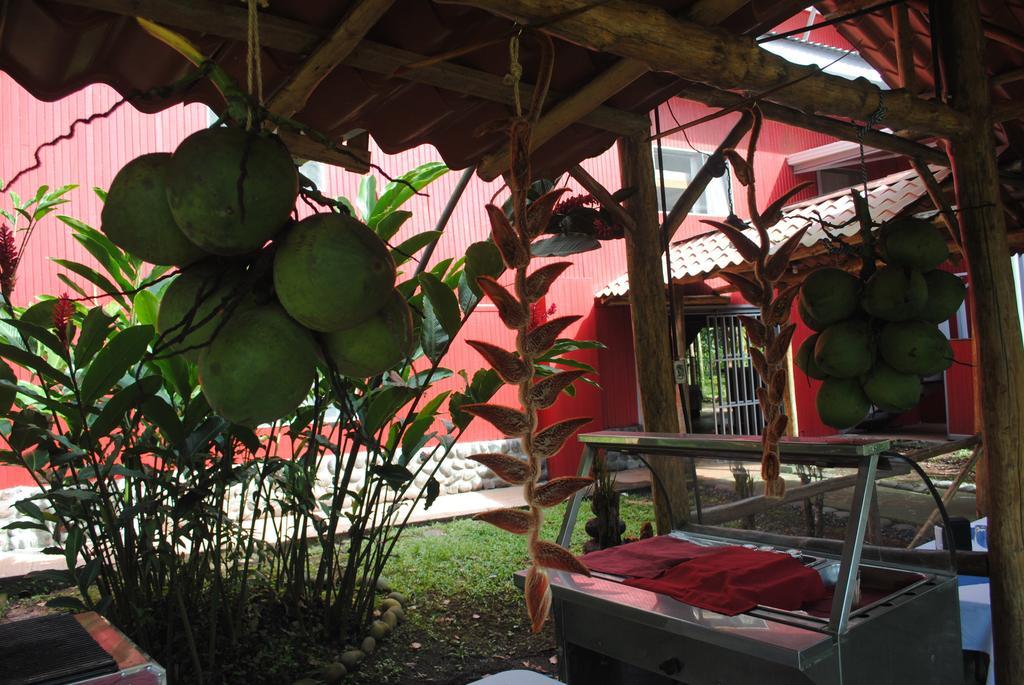 Islas Del Rio Hostel Tirimbina Esterno foto